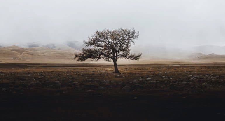 Великий понедельник Страстной седмицы